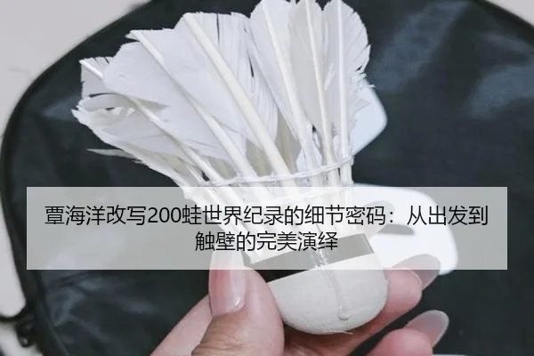 tan-hai-yang-gai-xie-wa-shi-jie-ji-lu-de-xi-jie-mi-ma-cong-chu-fa-dao-chu-bi-de-wan-mei-yan-yi-2-508.jpg