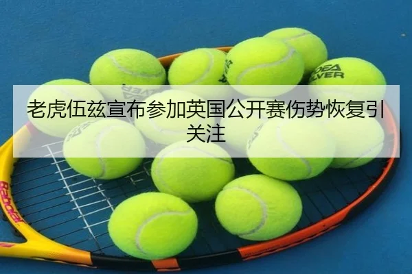 lao-hu-wu-zi-xuan-bu-can-jia-ying-guo-gong-kai-sai-shang-shi-hui-fu-yin-guan-zhu-2-435.jpg