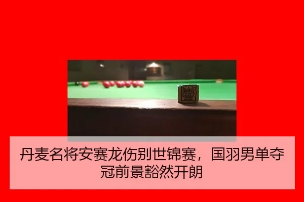 dan-mai-ming-jiang-an-sai-long-shang-bie-shi-jin-sai-guo-yu-nan-dan-duo-guan-qian-jing-huo-ran-kai-lang-3-607.jpg